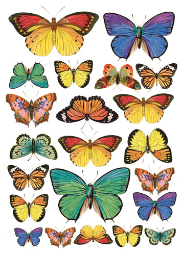 Рисовая бумага для декупажа Stamperia DFSA4022 Коллекция бабочек, формат А4, купить- магазин АртДекупаж